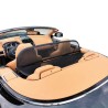 Frangivento Aston Martin DB9